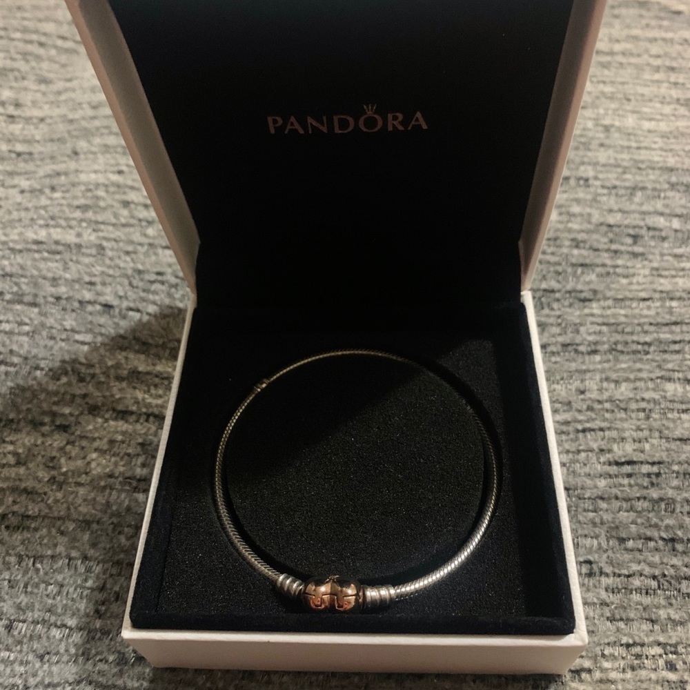 Pandora Bracelet